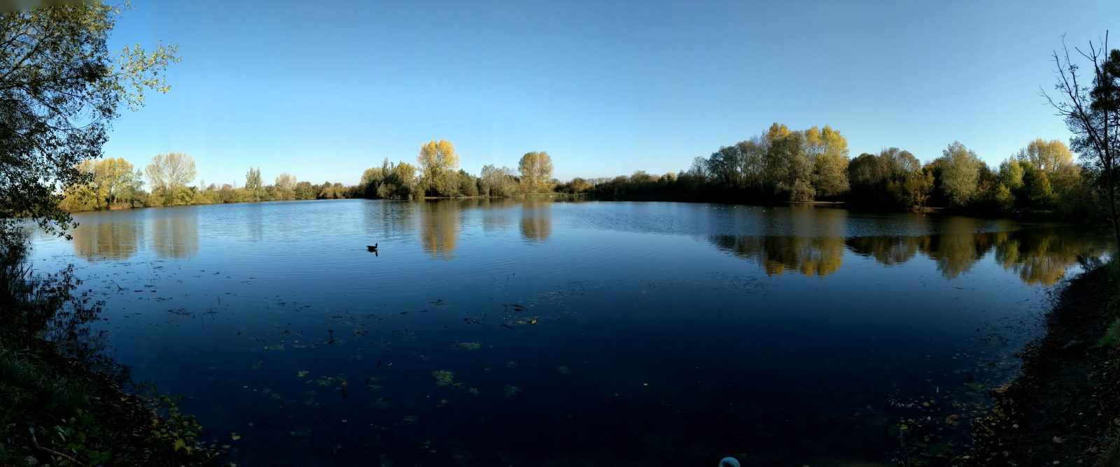 St Chad’s Local Nature Reserve